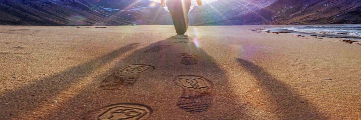 The life centricity playbook